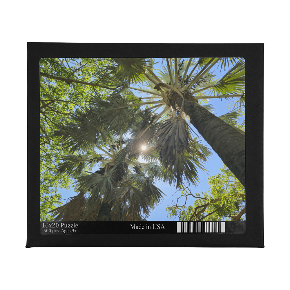 Through The Sunlit Palms Puzzle