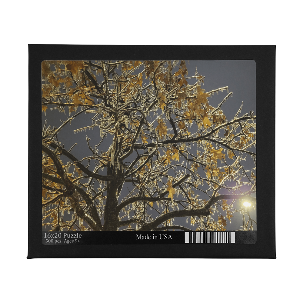 Night's Crystal Embrace Puzzle