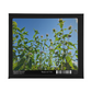 Bee Balm Skies Puzzle