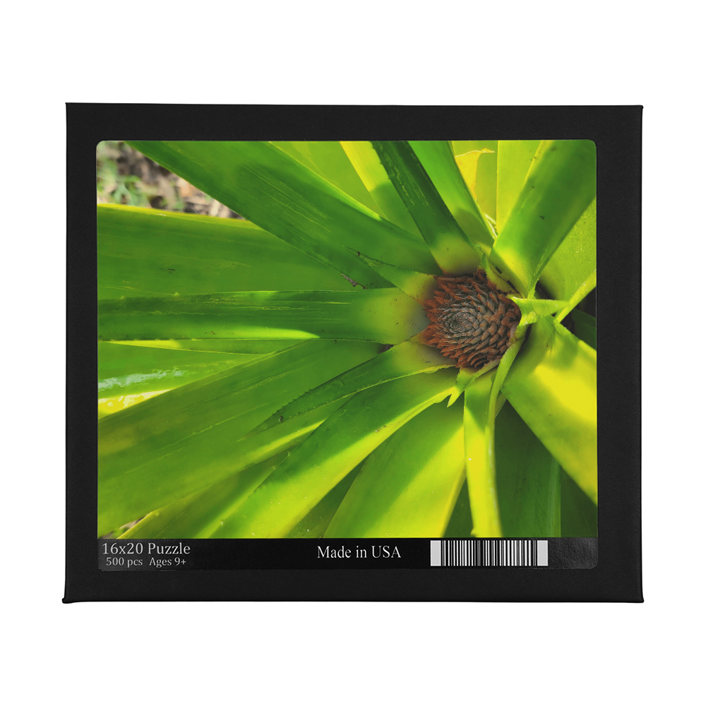 Quiet Emergence Puzzle