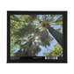 Through The Sunlit Palms Puzzle