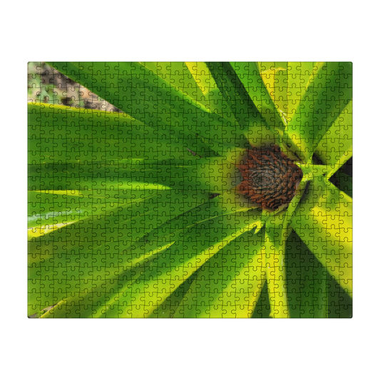 Quiet Emergence Puzzle