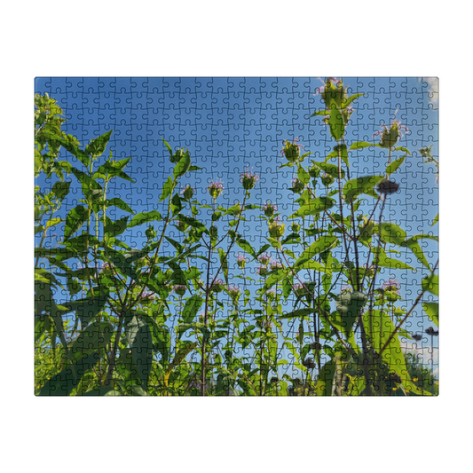 Bee Balm Skies Puzzle