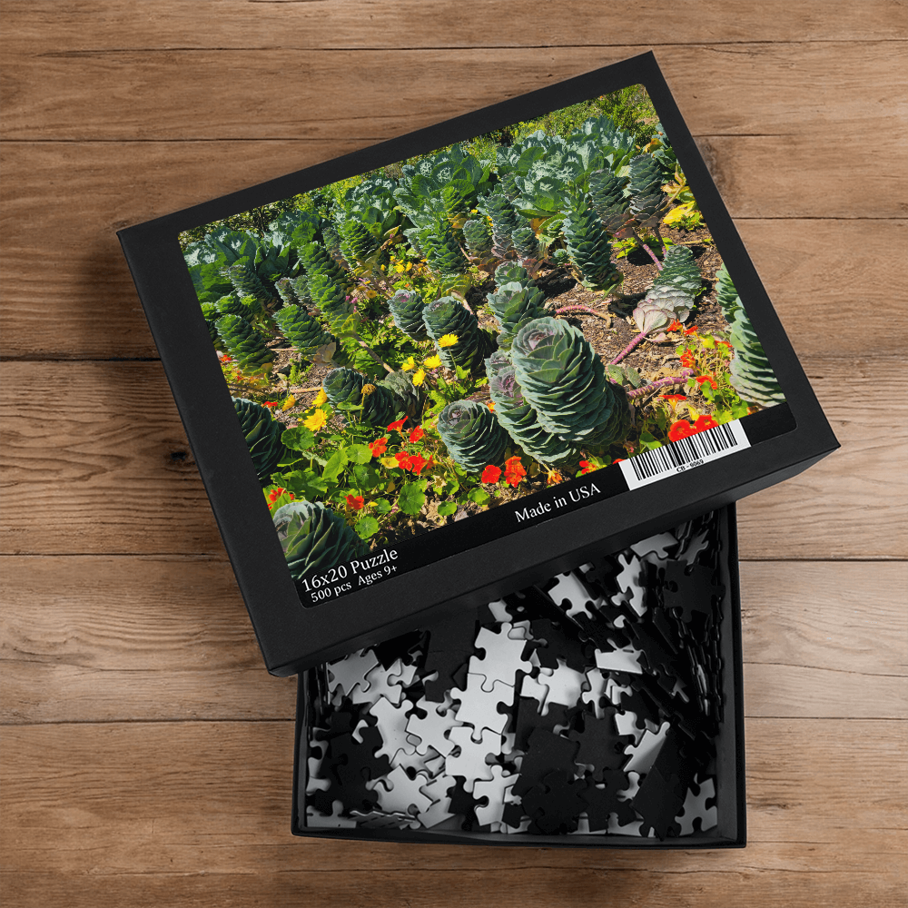 Strange Eden Puzzle