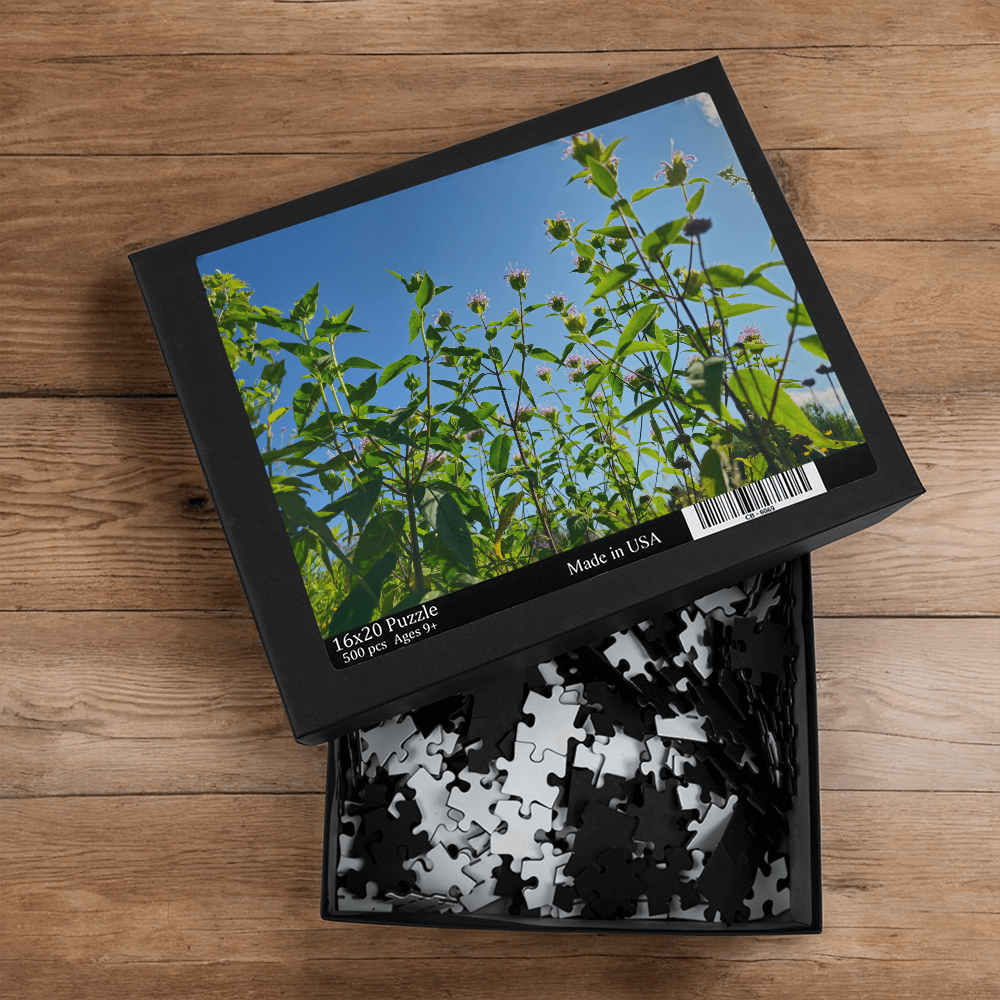 Bee Balm Skies Puzzle