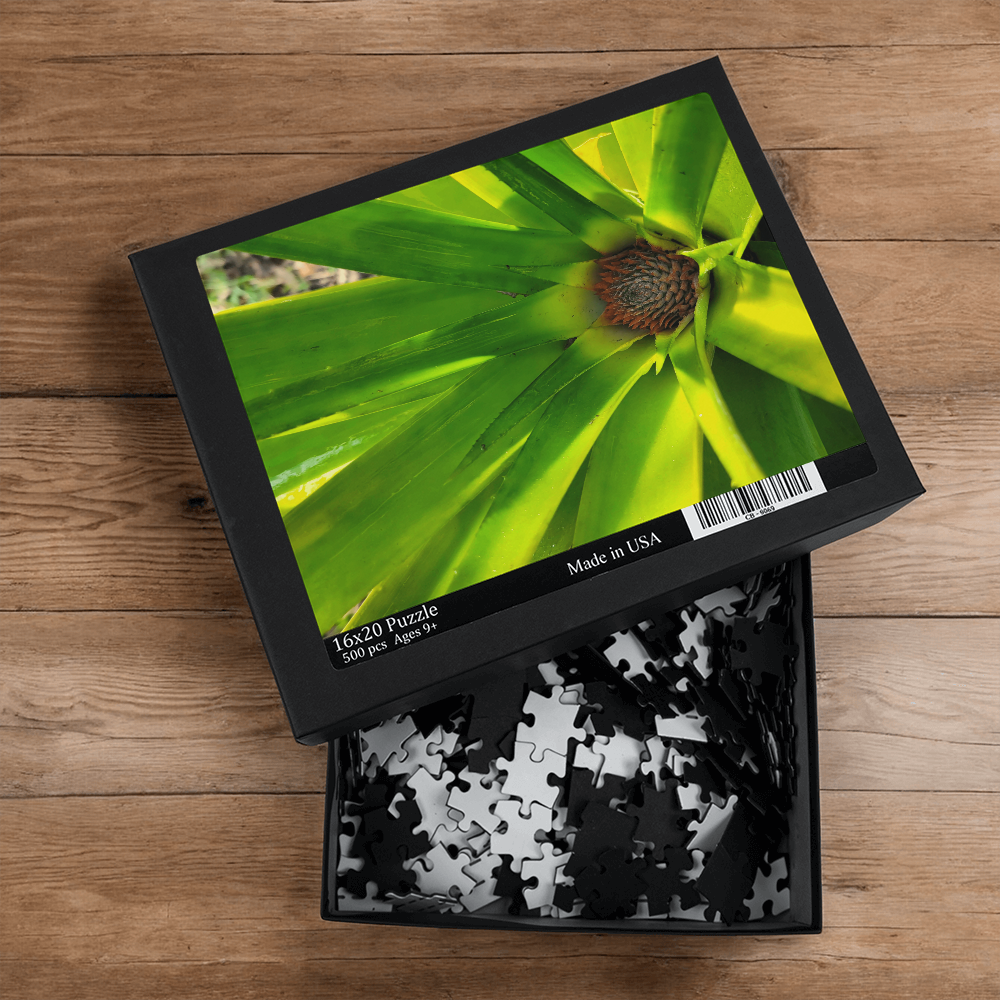 Quiet Emergence Puzzle