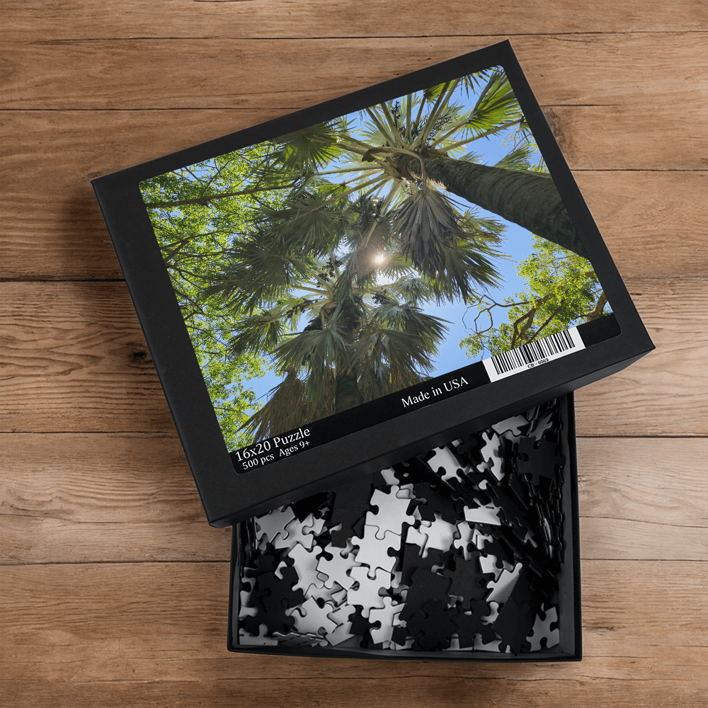 Through The Sunlit Palms Puzzle